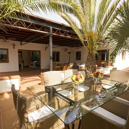 Palmeras *