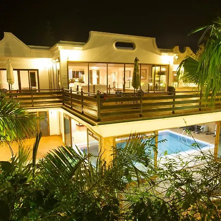 Palmeras