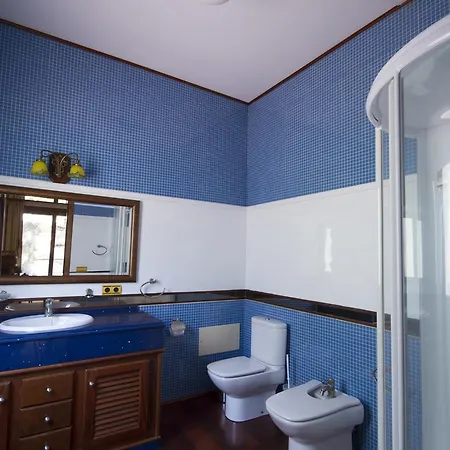 Palmeras فيلة